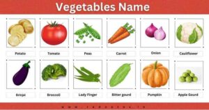 Read more about the article Vegetables Name – 100+ List of Vegetable Names A-Z With Picture
