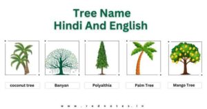 Read more about the article 10 Trees Name : 10 Trees Name in Hindi and English