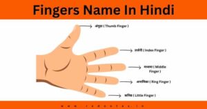 Read more about the article Fingers Name In Hindi – Fingers Name In Hindi and English